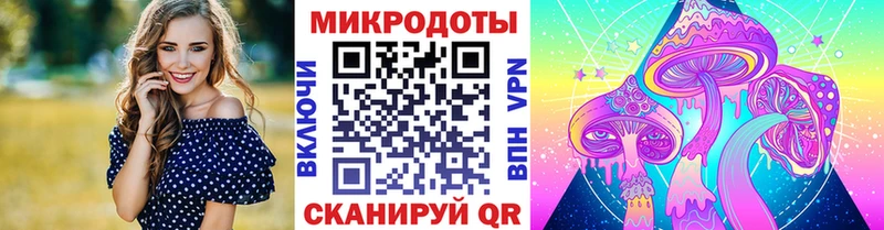 darknet телеграм Майский Псилоцибиновые грибы GOLDEN TEACHER где купить